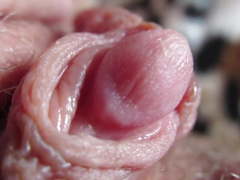 Clit closeup