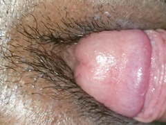 Cock Rubs Big Ebony Clit